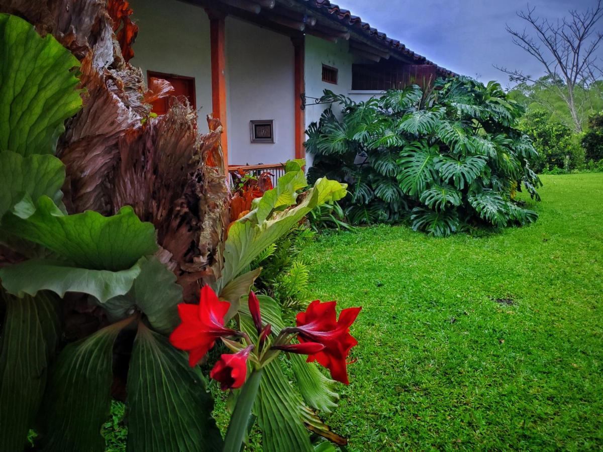 Hacienda El Saman Villa Quimbaya Exterior photo